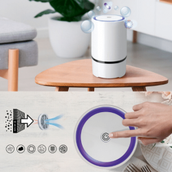 Portable Air Purifying Ionizer