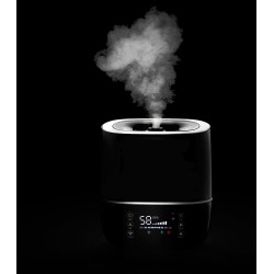 Anion Generator Ionizer Humidifier