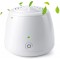 Mini Multifunction Ozone